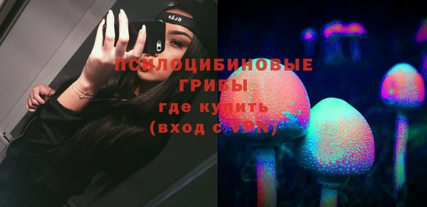 ГАЛЛЮЦИНОГЕННЫЕ ГРИБЫ Алексеевка