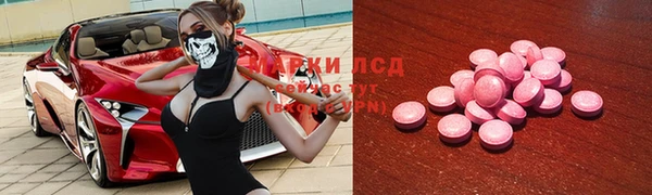 ГАЛЛЮЦИНОГЕННЫЕ ГРИБЫ Медвежьегорск