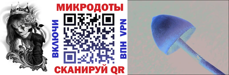 Псилоцибиновые грибы Magic Shrooms  mega ССЫЛКА  Чистополь 